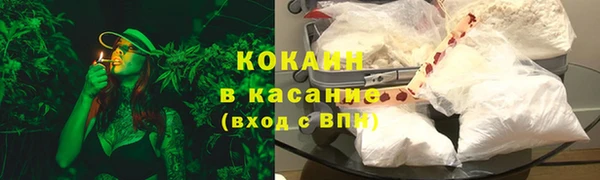 твердый Надым