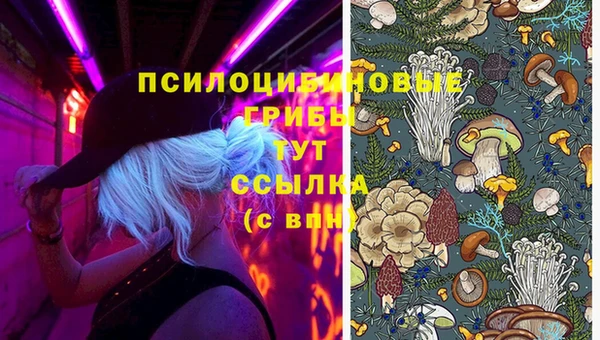 PSILOCYBIN Наволоки