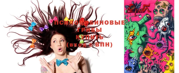 PSILOCYBIN Наволоки