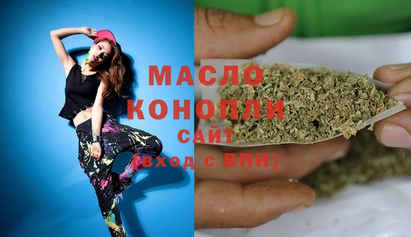 твердый Надым