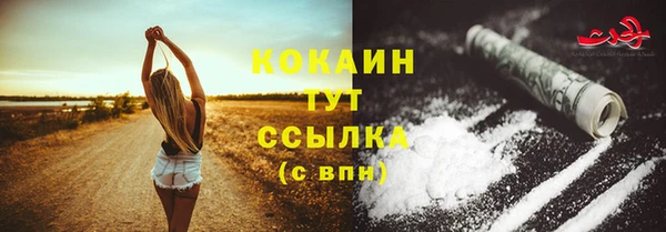 твердый Надым