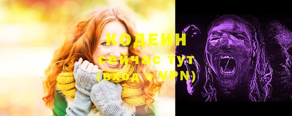 твердый Надым