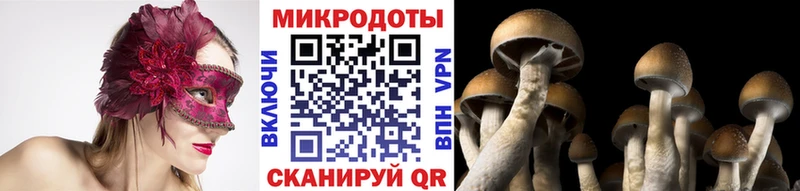Псилоцибиновые грибы мицелий  где купить   Урай 