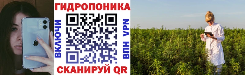 как найти наркотики  Урай  Бошки Шишки сатива 